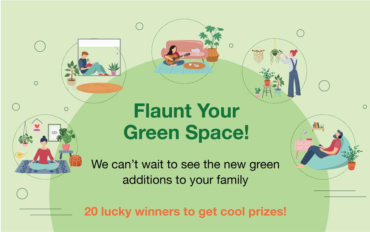 Flaunt Your Green Space Contest Creative